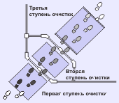 Три ступени грязезащитной системы