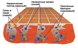 Моющие пробиотики